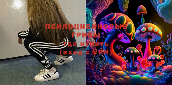 spice Алексин