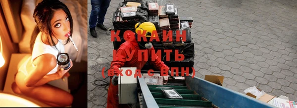 spice Алексин