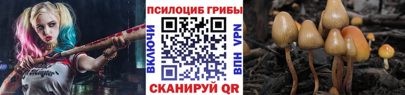магазин    Мещовск  ОМГ ОМГ маркетплейс  Галлюциногенные грибы Magic Shrooms 